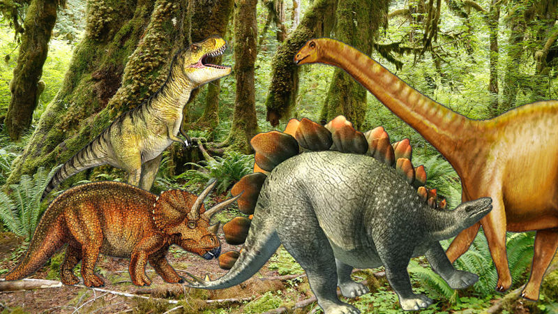Picture of Dinosaurs