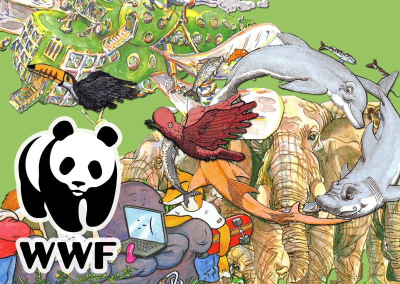 WWF Bundle